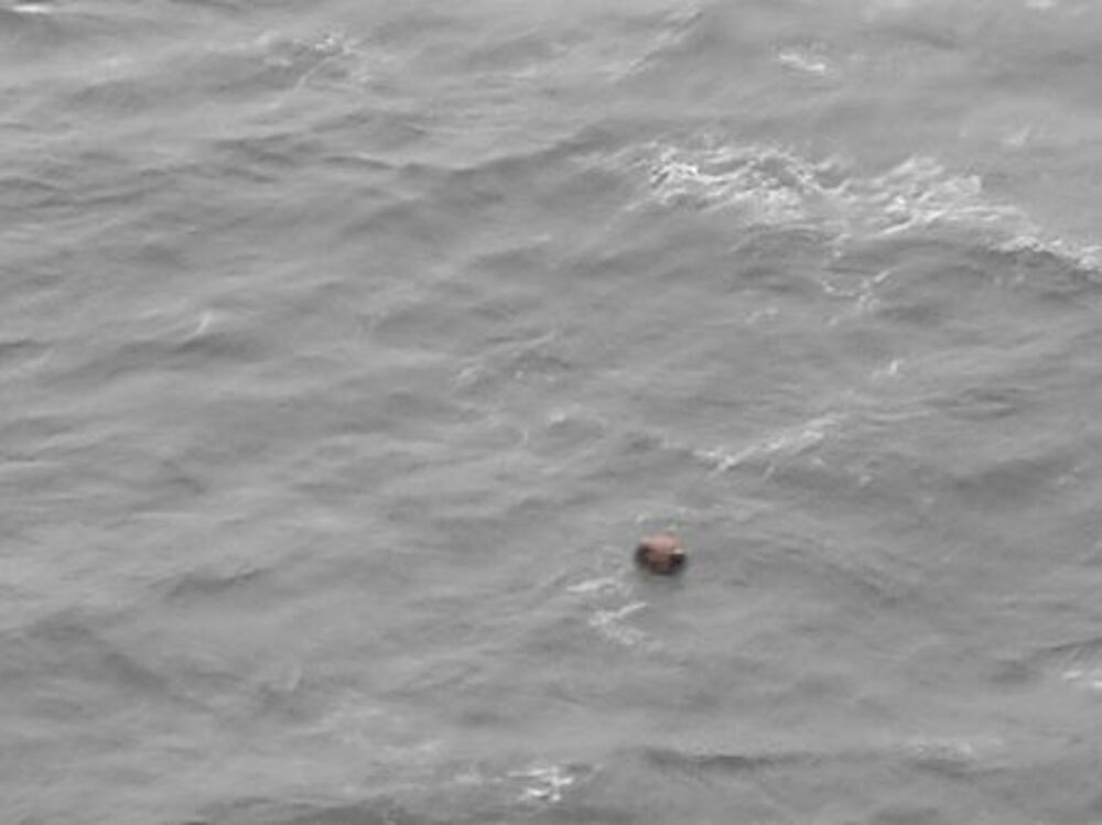 Турция ще работи с Румъния и България срещу заплахата от плаващи мини в Черно море