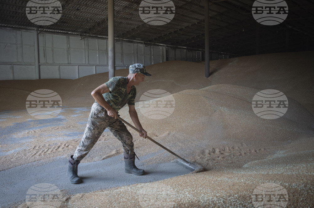 Украинската страна може да изпрати 57 000 тона зърно в Нигерия и Судан