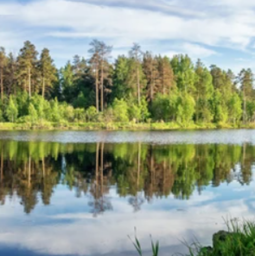 Хороскоп за утре 24 юни-РИБИ Печалби, ВОДОЛЕЙ Успех