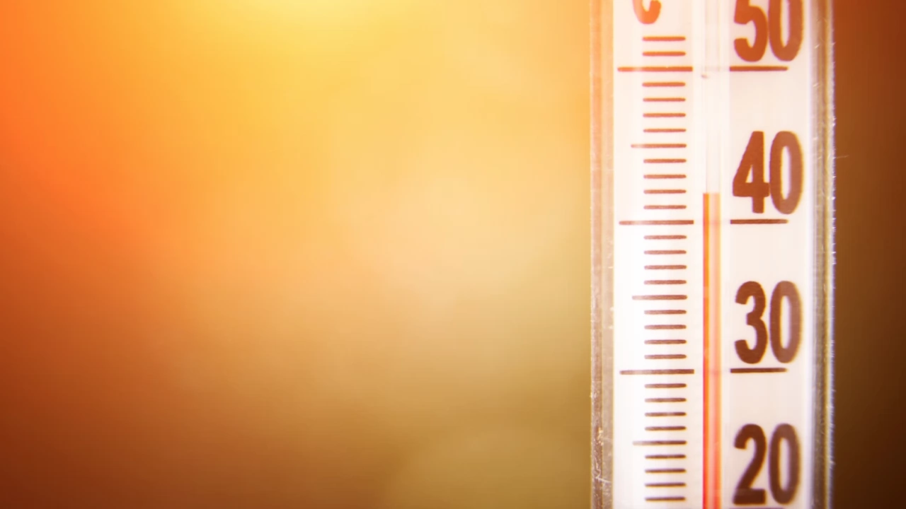 Измериха 41,2 градуса на сянка в Русе