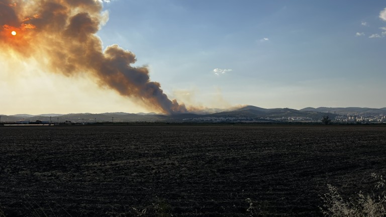 Пожар пламна в борова гора край Стрелча и край няколко карловски села