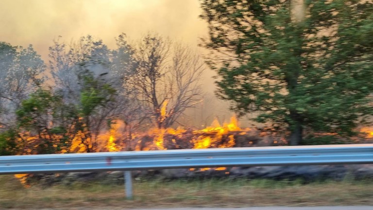 ЕС праща хеликоптери на България и Северна Македония за борба с пожарите