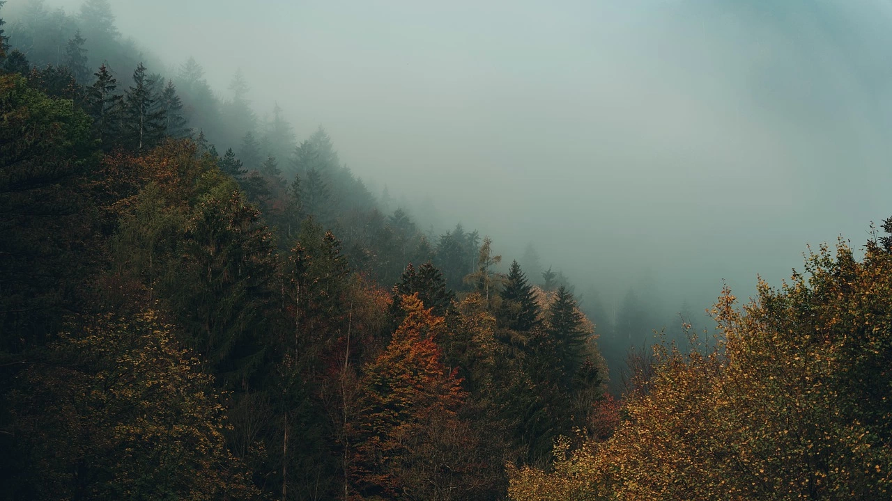 Силен дъжд потуши пожара в Беклемето