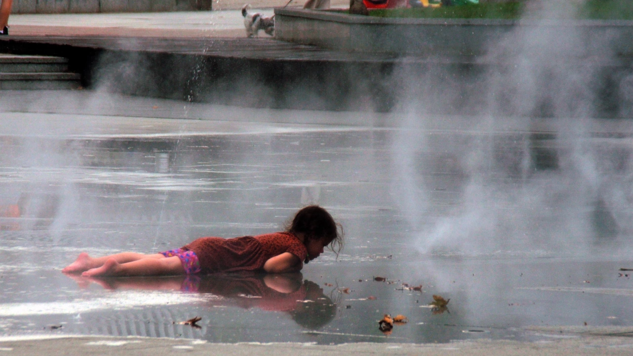 Прогноза за времето