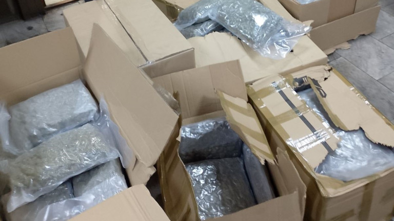 Задържаха марихуана за 1,3 млн. лв. на ГКПП „Капитан Петко войвода“