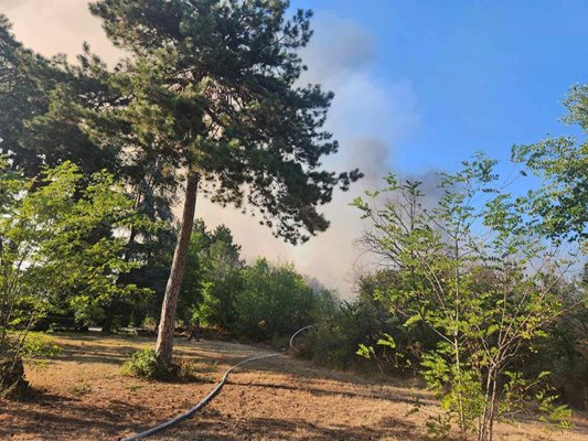 Овладяха пожара в Пловдив, с вода от Гребния канал обливат тлеещи дънери (Снимки)