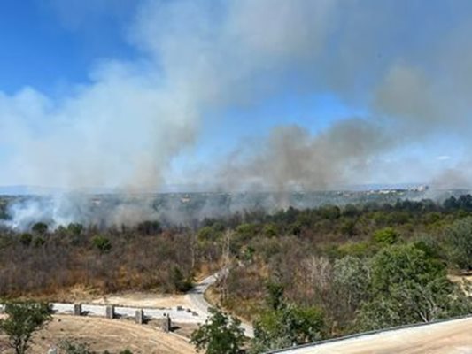 Арестуваха 30-годишен скитник за пожара на Гребната база в Пловдив