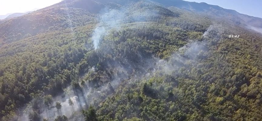 Пламна борова гора край Вършец
