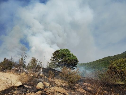 Евакуираните заради пожара жители на Цапарево и Кърпелево се връщат вкъщи
