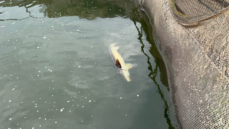 Празният язовир „Копринка“ не заплашва Стара Загора с воден режим