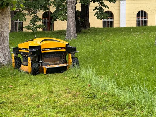 Общинските екипи продължават дейностите по косене на тревните площи в Русе