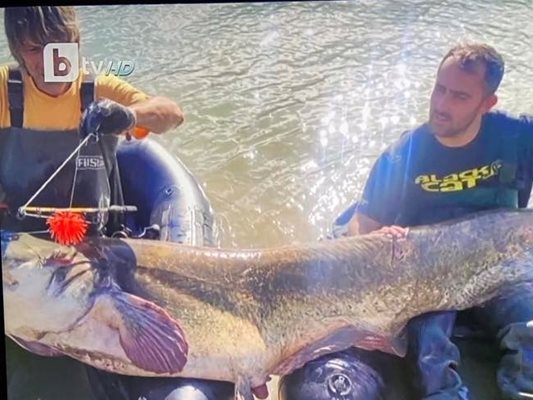 120 кг сом извадиха от язовир Дяково