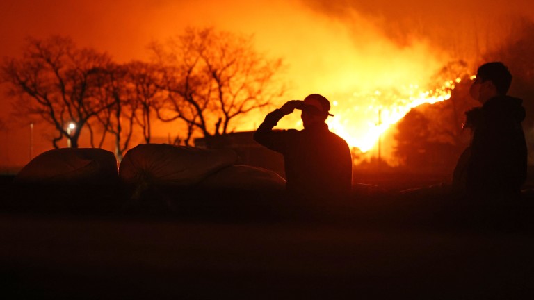 16 жертви взеха горските пожари в Южна Корея