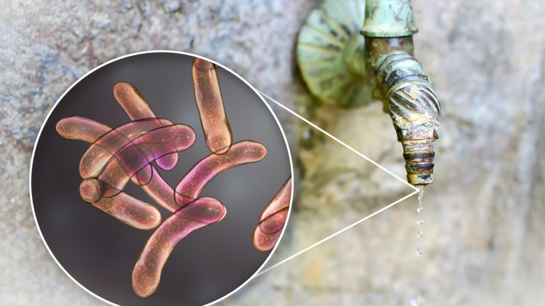 Епидемия от холера избухна в Кот д’Ивоар