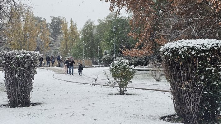 Европа изнемогва от горещини, а Южна Америка трепери от студ (Видео, снимки)