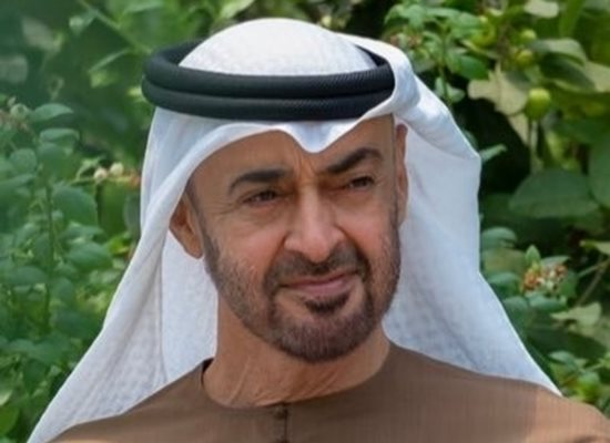 Президентите на ОАЕ и Нигерия обсъдиха укрепване на сътрудничеството и регионалната сигурност