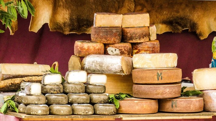 Горещината и засушаването се превръщат в риск за френските сирена