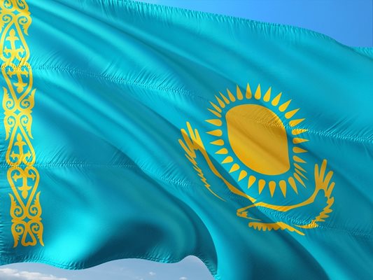 Казахстан подкрепя изцяло идеите и целите на БРИКС