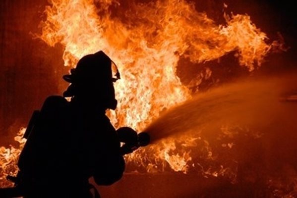 6 пострадали заради 620 горски пожара, регистрирани за ден в Сърбия