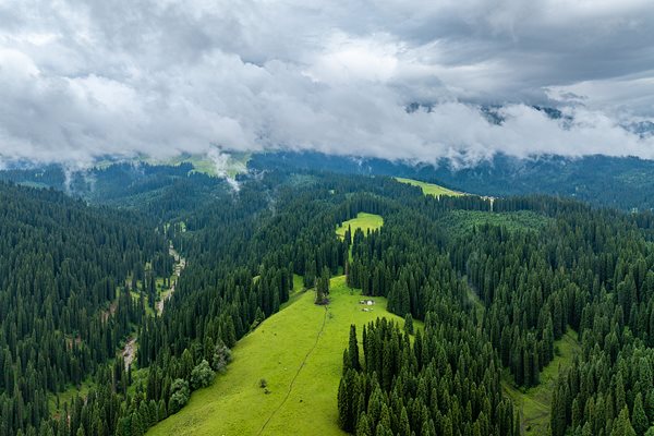 Китай отчита напредък в климатичната политика по пътя към двойните въглеродни цели